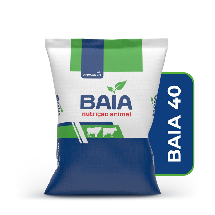 BAIA 40