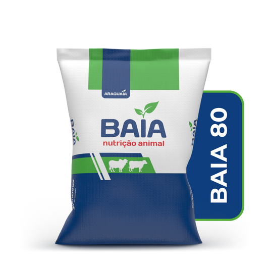 BAIA 80