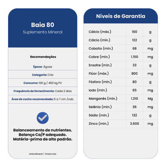 BAIA 80