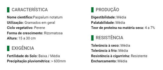 Semente Estilosantes Leguminosa - Santa Fé