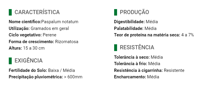 Carregue imagem no visualizador da galeriaSemente Batatais Grama - Santa Fé
