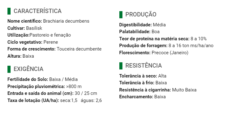 Carregue imagem no visualizador da galeriaSemente Decumbens Brachiara - Santa Fé
