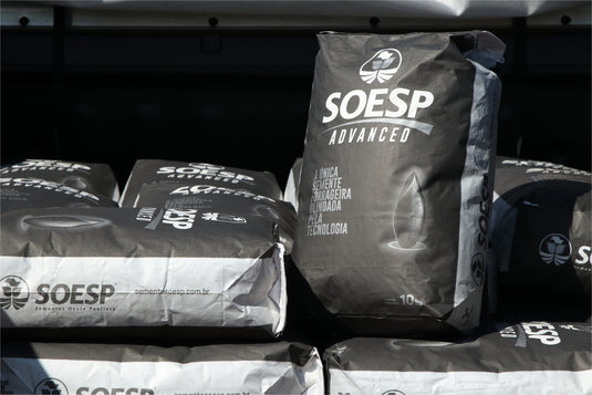 Semente Marandú Brachiarão - SOESP