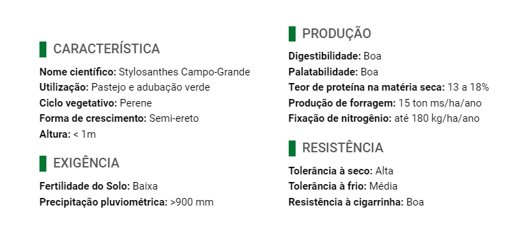 Carregue imagem no visualizador da galeriaSemente Estilosantes Leguminosa - Santa Fé
