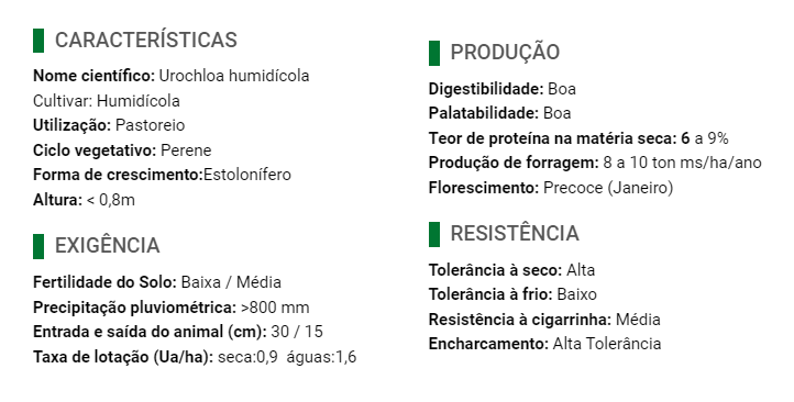 Carregue imagem no visualizador da galeriaSemente Humidícola Brachiara - Santa Fé
