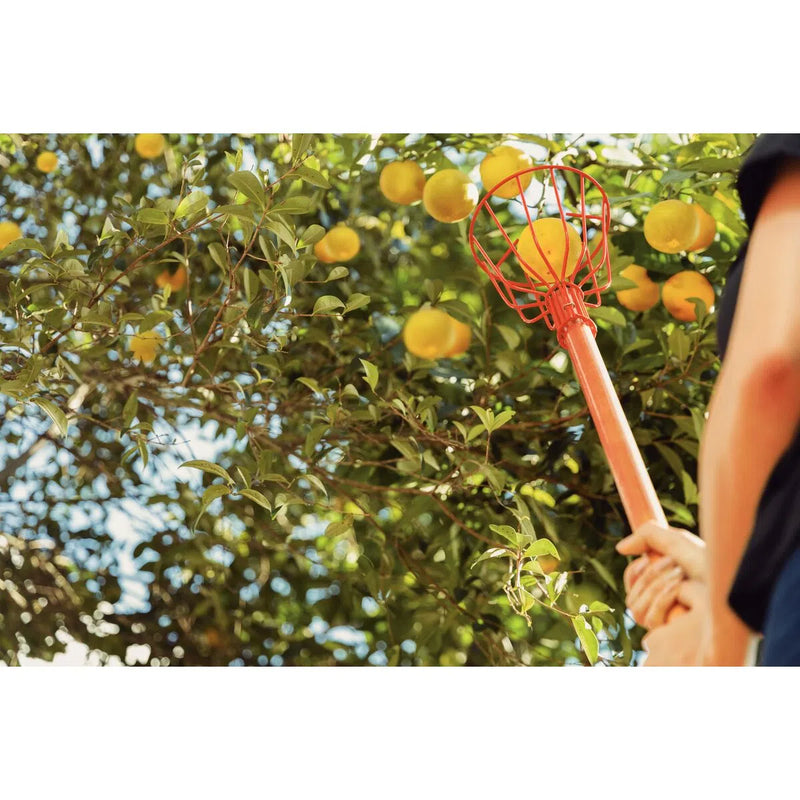 Carregue imagem no visualizador da galeriaCabo para Colhedor de Frutas Tramontina em Madeira 290 cm
